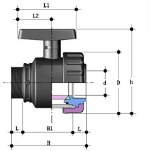 Popular Male and Female Plastic Single Union Valve