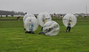 Quality transparent Hamster Buddy Bumper Ball for rental for sale