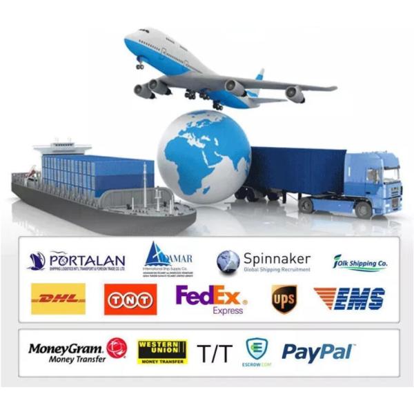 Contact for Shipping Cost Outlet Chinese Car Heavy Duty Wg9725550053 Fuel Tank Cap