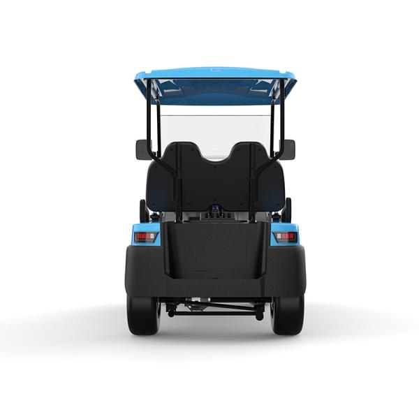 Affordable 2 Seat Electric Golf Buggy Perfect for Family and Hunting on the Beach
