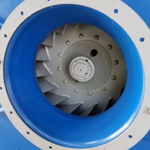 Customized Carbon Steel Explosion-Proof High Pressure Fans