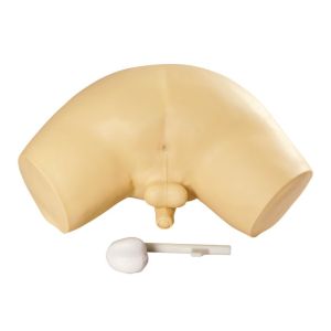 Quality Prostate examination simulator / Clinical simulation with invasive cancer for sale