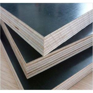 Moisture Resistant Phenolic Film Faced Plywood With High Chemical Degradation