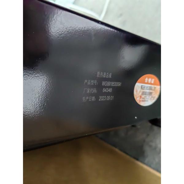 WG9918530001 Radiator HOWO Truck Parts Cabin Parts
