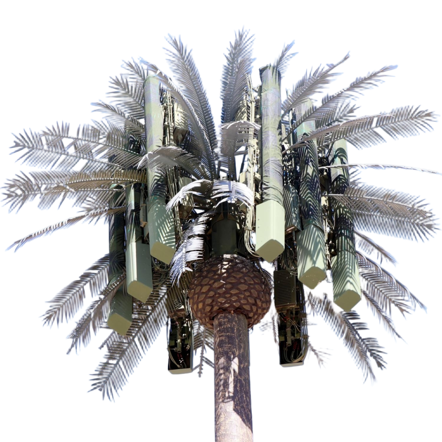 China 10 20 30 M Palm Tree Fake Tree Cell Tower Camouflaged Telecommunication  5-80M on sale
