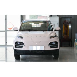 2022 Dayun Automobile EV Yuehu 300 5 Doors 5 Seats SUV Cltc 300Km