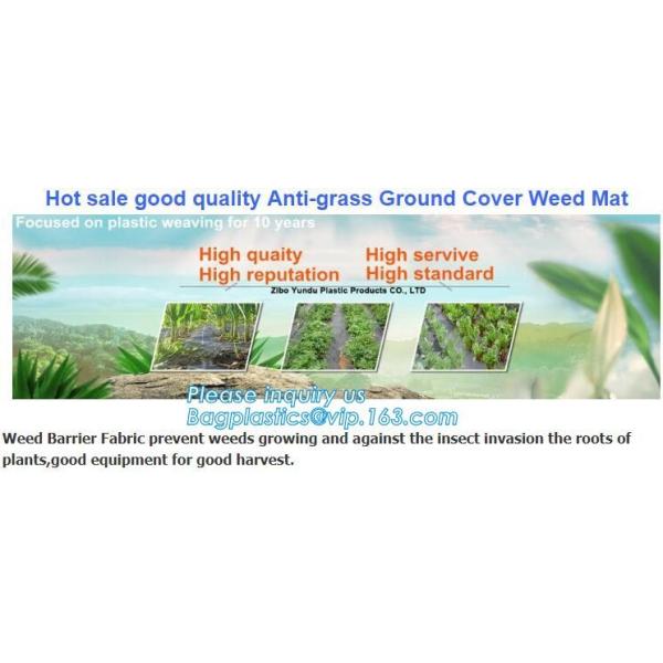 prevent insects,tree planting,agriculture protection Plastic weed barrier,weed