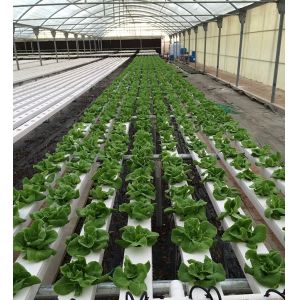 NFT System Vertical Hydroponics Garden Automatic Humidity Control