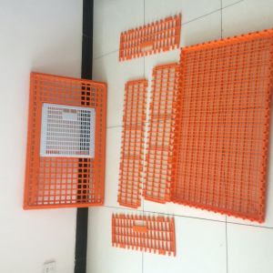 Commercial Farm Polypropylene Chicken Transport Cages
