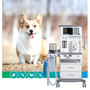 DM6A Veterinary Anesthesia System For Dog Cat Small Animal