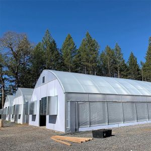 Agricultural Tunnel Fully Automated Light Deprivation Greenhouse Single-span