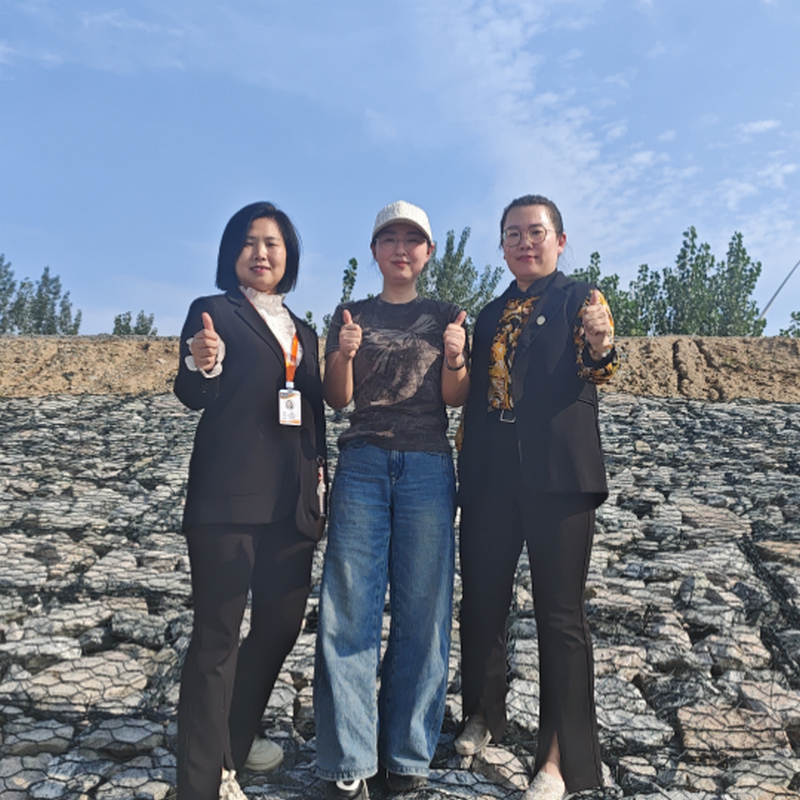 Hot-Dipped Galvanized High Strength And Durability Gabion BasketWire Mesh For South American Projects