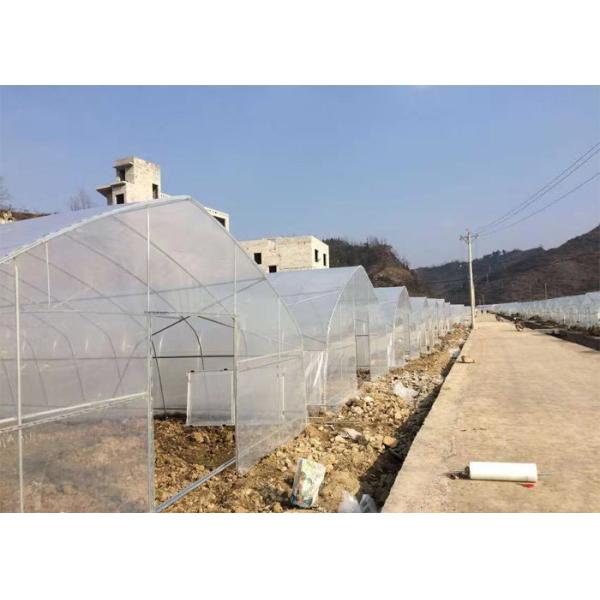 Buy Plastic Polycarbonate Film Greenhouse Simple Structure For Planter Agriculture at wholesale prices