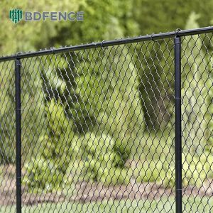 School Farm Chain Link Fence Cultivation