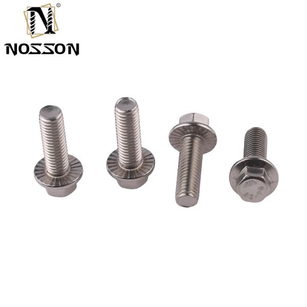 Grade Carriage Bolts Sliver Stainless Steel Hexagon Flange Head Fully Threaded for Fixing and Grade A2-70/A4-80/304/316