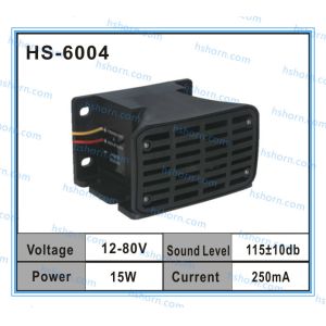 HS-6004