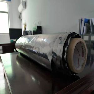 Biodegradable Single Double Sided Aluminized Thermal Shrink Film