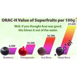 Top Quality 100% Pure Maqui Berry Extract--Aristotelia chilensis