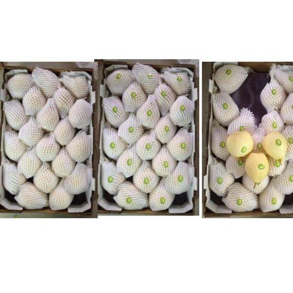 Buy Sweet Juicy Fresh Chinese Ya Pears Fruit Delicious Crown Pear at wholesale prices