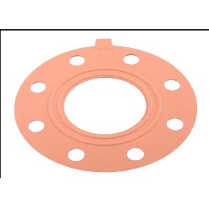 DN15-DN600 FPM PTFE EPDM rubber flange gasket