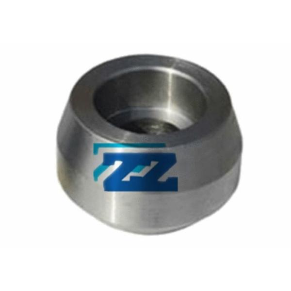 Buy ASTM A182 F304 OLET Pipe Fittings Galvanized Surface Customized Dimensions at wholesale prices