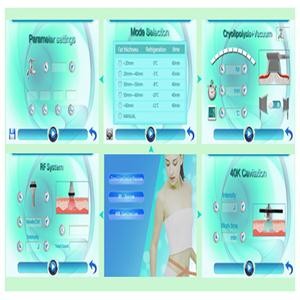 Best cryolipolysis equipment Cryolipolysis Slimming Machine with lowest price