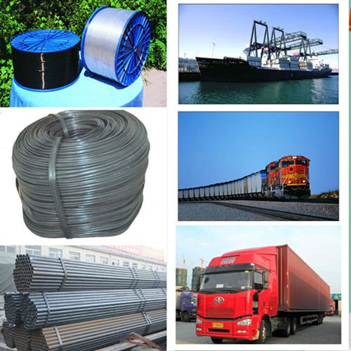 8*30m Greenhouse With Blackout System For Herbal Planting