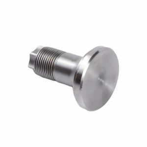 Condition OEM Precision CNC Machining Brass Part of Butterfly Nuts for Precision