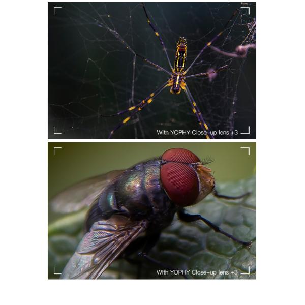HD 3 Close Up Macro Lens , Dslr Macro Lens Double Sided Multi Layer Coating
