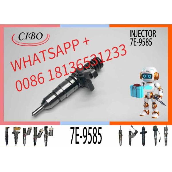 Buy 3114/3116 engine fuel injector 7E-8952 7E-8729 7E-9585 with genuine packing at wholesale prices