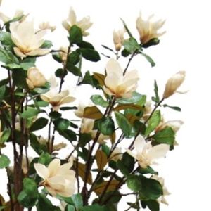 210cm Height Artificial White Magnolia Tree Fire Resistance