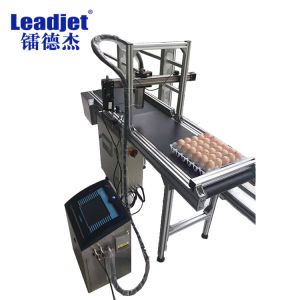 Stainless Steel Flat Belt Conveyor 200mm Width Automatic For Eggs Transmitting