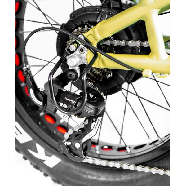 48V Disc Brake Dual Batteries Fat Snow Big Tire Electric Cargo Bicycles for Family 2