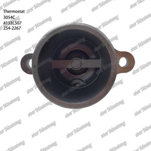 Thermostat 3054C 4133L507 254-2267 Engine Part