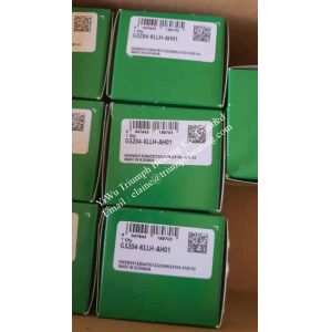 INA Angular Contact Ball Bearing Double Row G3204-KLLH-AH01