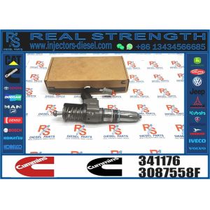 China Real Fuel Injector Assembly 341176 For Cummins Engine N14 Series on sale