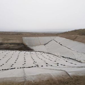 3D Composite Geonet for Drainage Length 50m/100m/ Industrial Design Style Direct