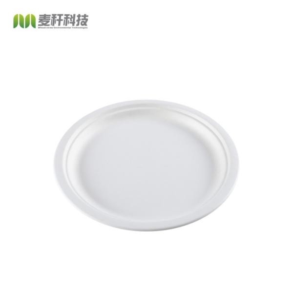 Round Disposable Plates Natural Sugarcane Bagasse Compostable Eco Friendly Environmental paper plate