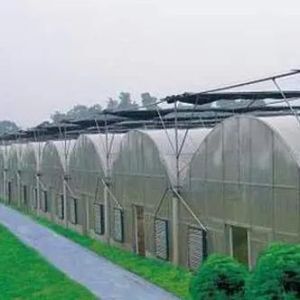 2000.000kg Package Gross Weight Single-Pan Hydroponic System for Double-Arch Greenhouse