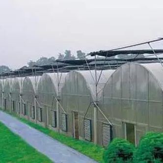 Buy 2000.000kg Package Gross Weight Single-Pan Hydroponic System for Double-Arch Greenhouse at wholesale prices