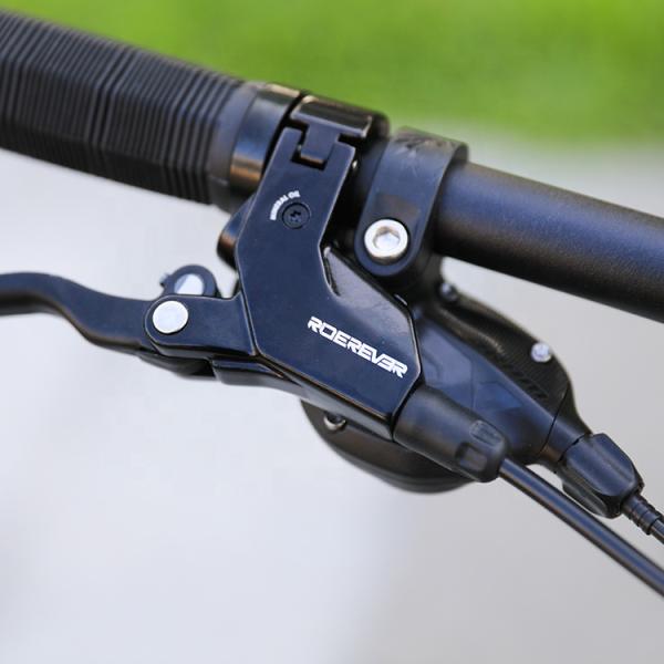 Aluminum Alloy Fork 29 Inch Mountain Bike with Hydraulic Disc Brake and Front Suspension