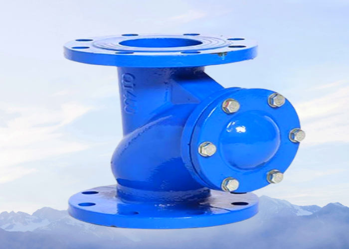 OEM ODM Flange Check Valve PN16 DN100 Ductile Iron Check Valve