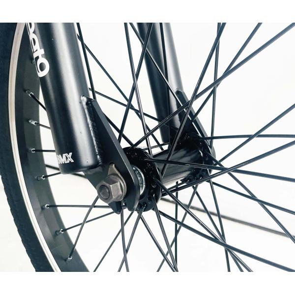 20" Single Speed Electric BMX Bike with Hidden Battery and 24V 250W Motor 20KM/H PAS