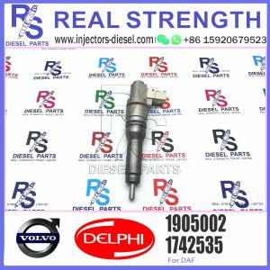 Fuel Injector Assembly BEBJ1A05002 BEBJ1A00202 BEBJ1A05001 1905001 1846419