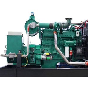 Electric Start Biogas Generator Equipment Customized Power Output