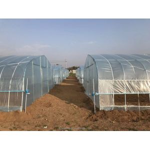 150/200micro Film High Tunnel Agricultural Greenhouse for Tomato Hydroponic