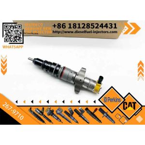 Diesel Engine C7 C9 Diesel Fuel Injector 387-9434 3879434 267-9722 267-9717 267