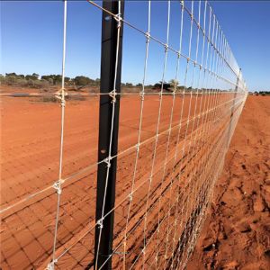 Galvanized Steel Cattle Fence Netting High Tensile Wire Weatherproof Security