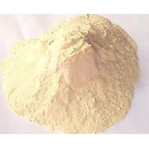 Vital Wheat Gluten Protein , Feed Grade Protein Ingredient Additives