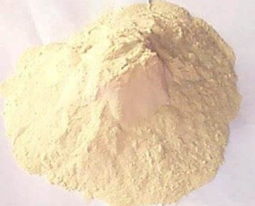 Buy Vital Wheat Gluten Protein , Feed Grade Protein Ingredient Additives at wholesale prices